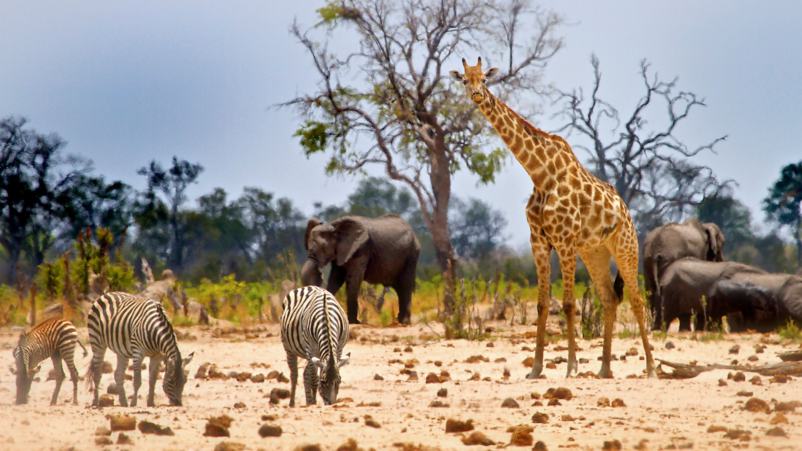 africa-travel-1