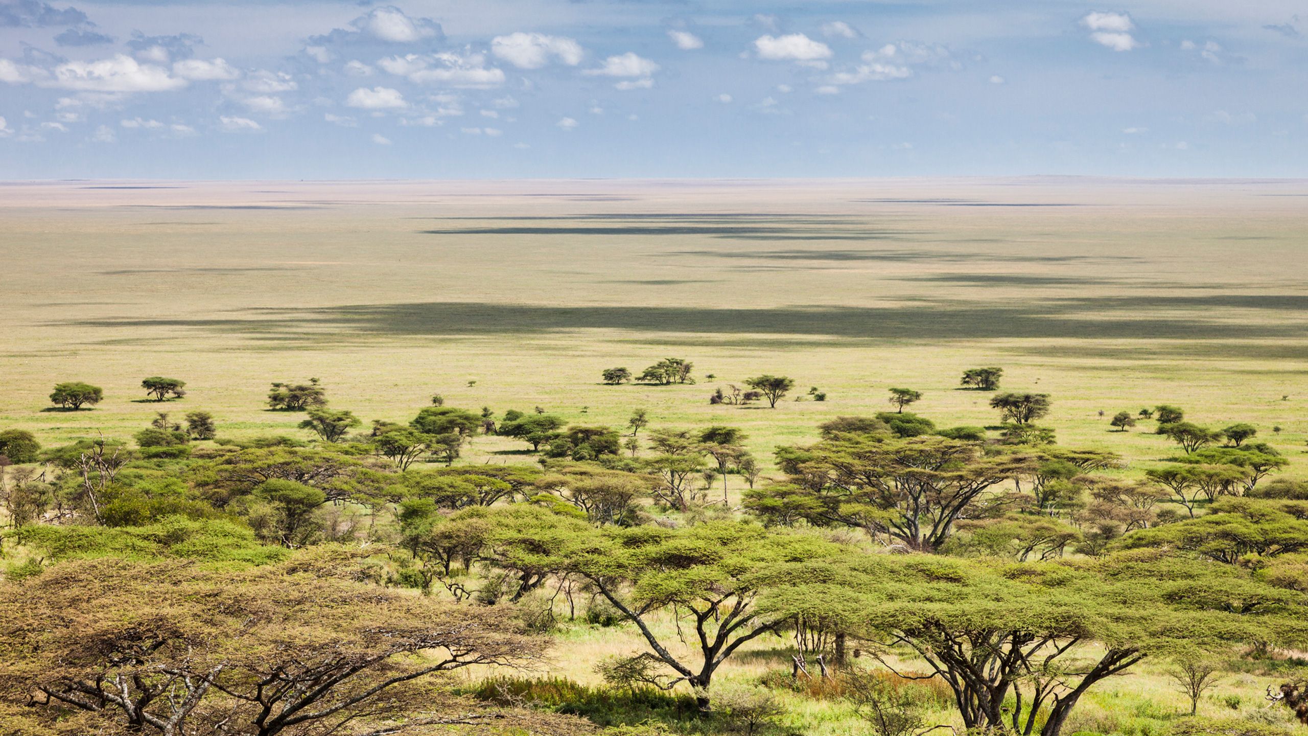 africa-travel-3
